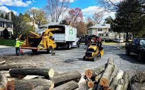 Best Tree Risk Assessment  in Gerber, CA